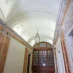 Rinidia Centro